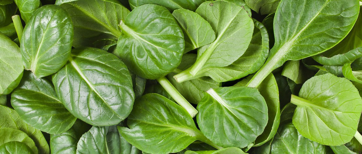 How to eat a low oxalate diet