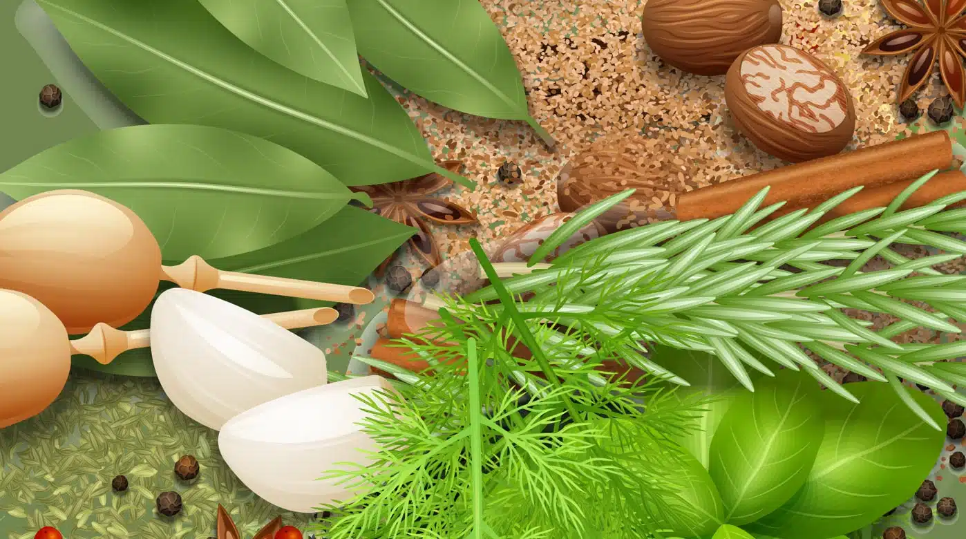 My Favorite No-Salt Seasonings