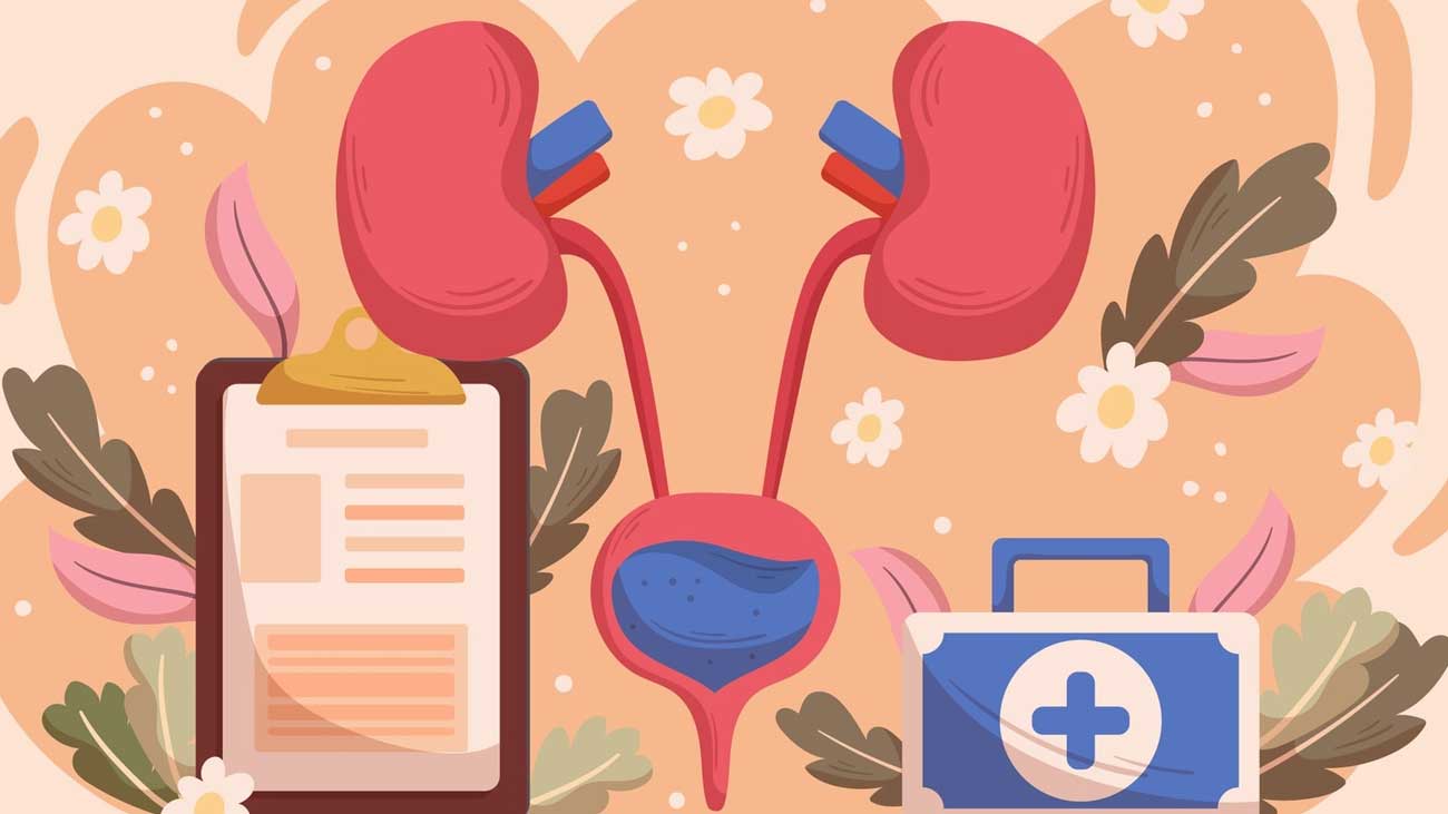 Kidney Stone Risk Factors