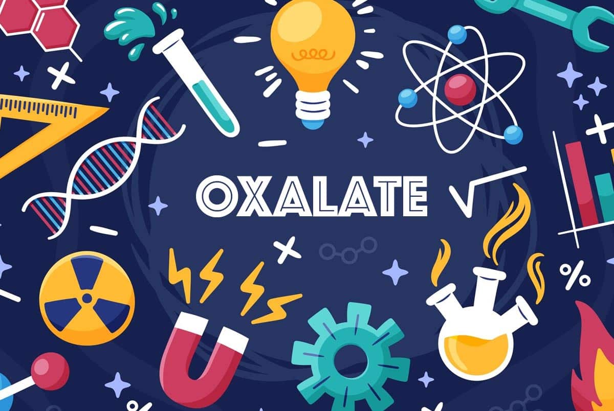 Why Do Oxalate Levels Vary?
