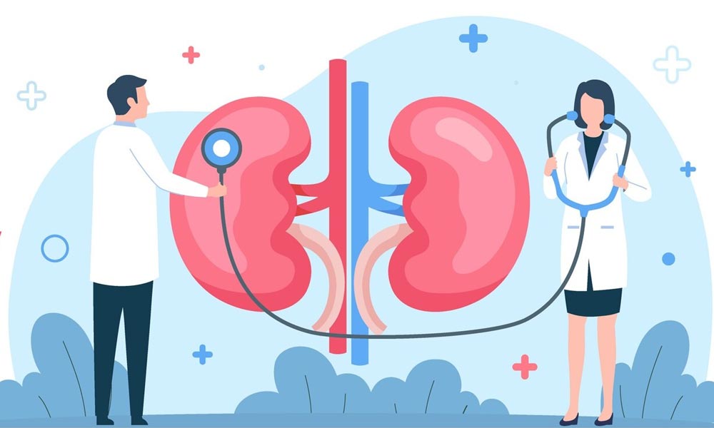 Your Complete Guide to Kidney Stone Surgeries