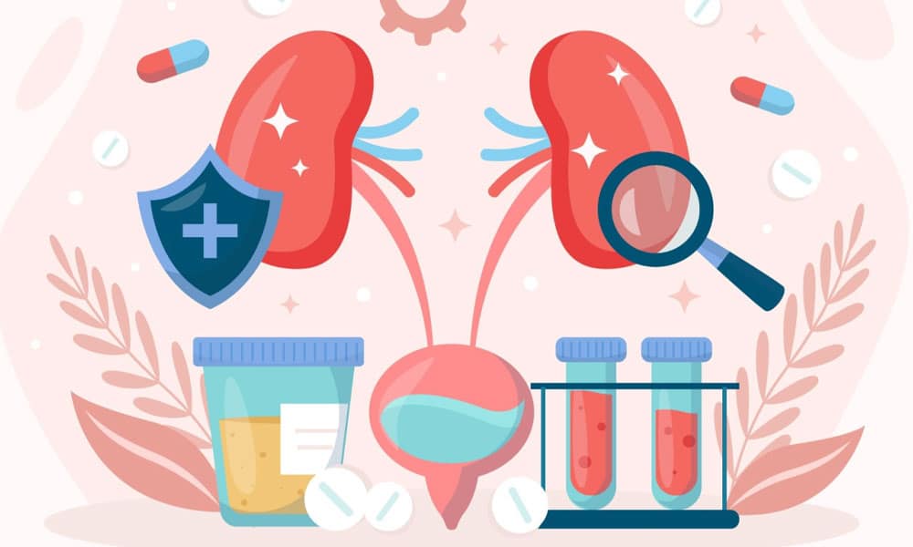 What’s Really Happening Inside Your Kidneys