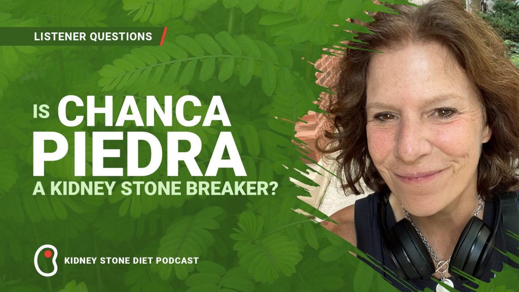 Is Chanca Piedra a kidney stone breaker?