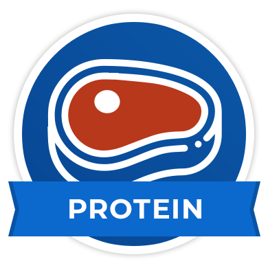 Kidney Stone Prevention Course: Protein