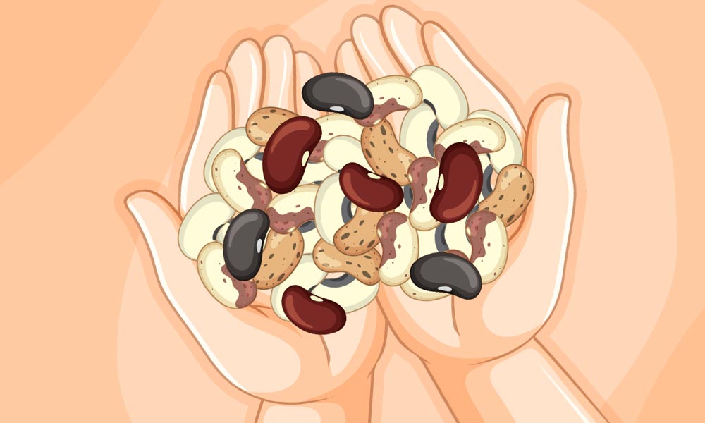 Kidney Stone Diet Safe Seeds and Nuts List