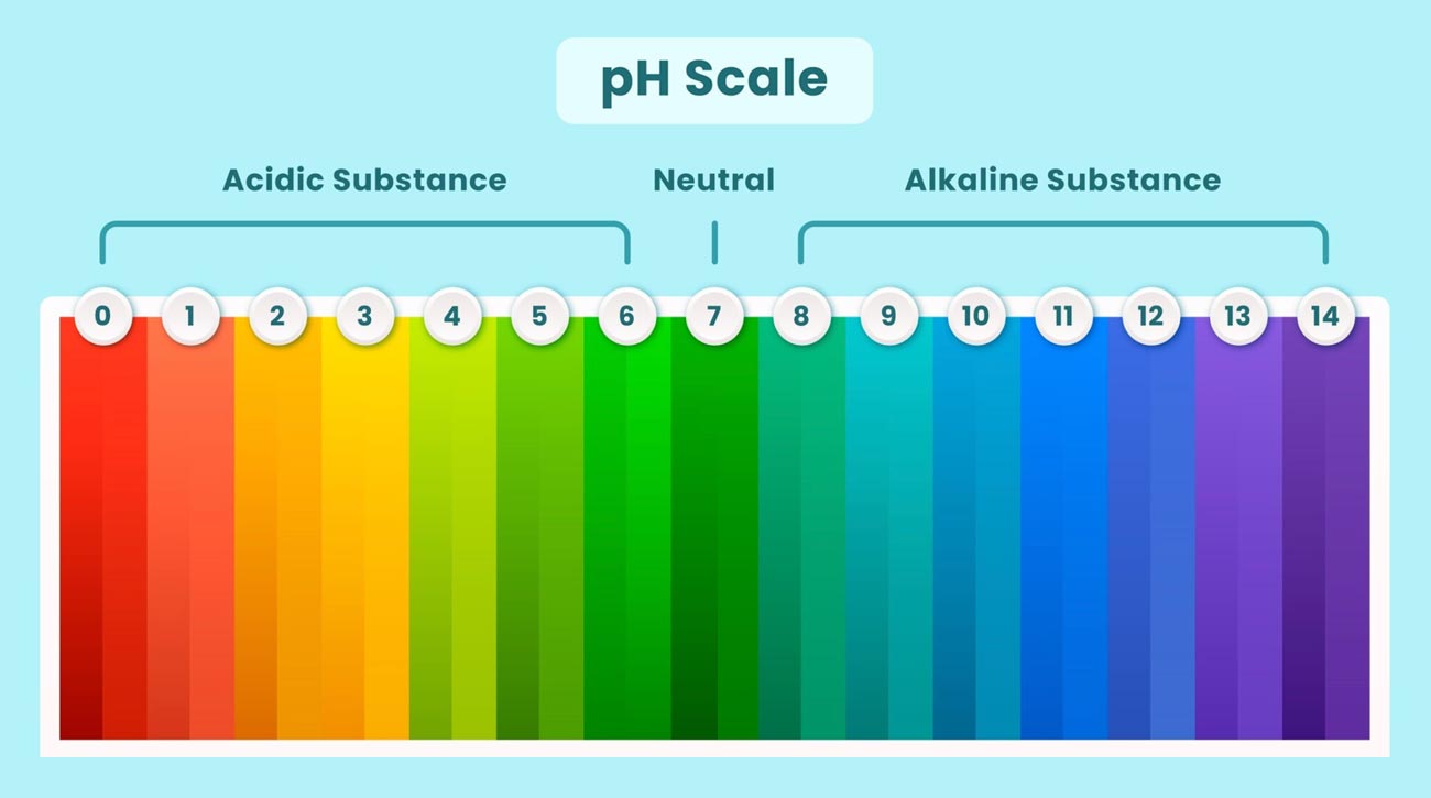 Urine pH and Its Role in Kidney Stone Prevention